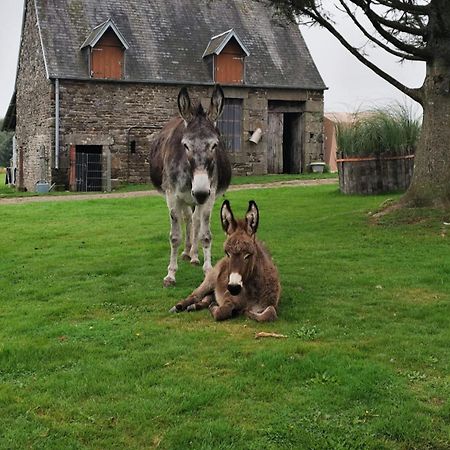La Billardiere Camping A La Ferme Le Menil-Ciboult Esterno foto
