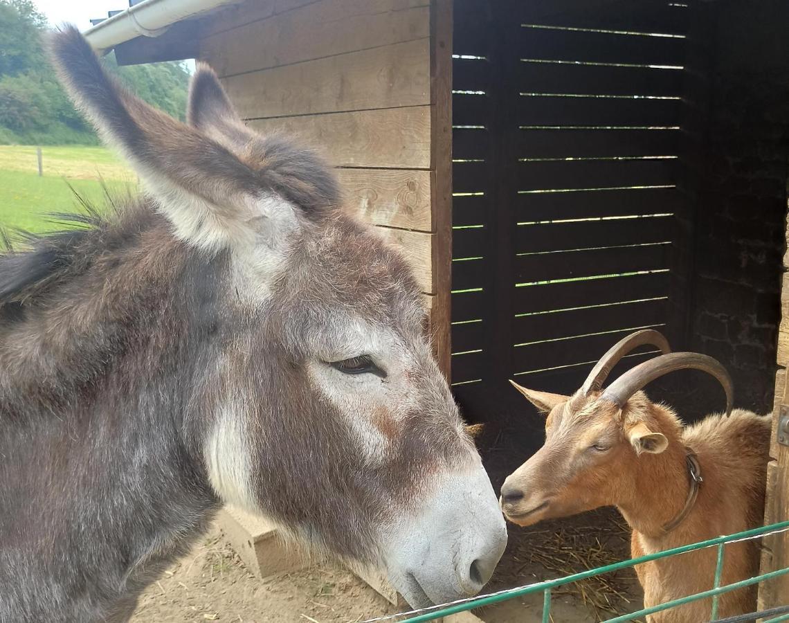 La Billardiere Camping A La Ferme Le Menil-Ciboult Esterno foto