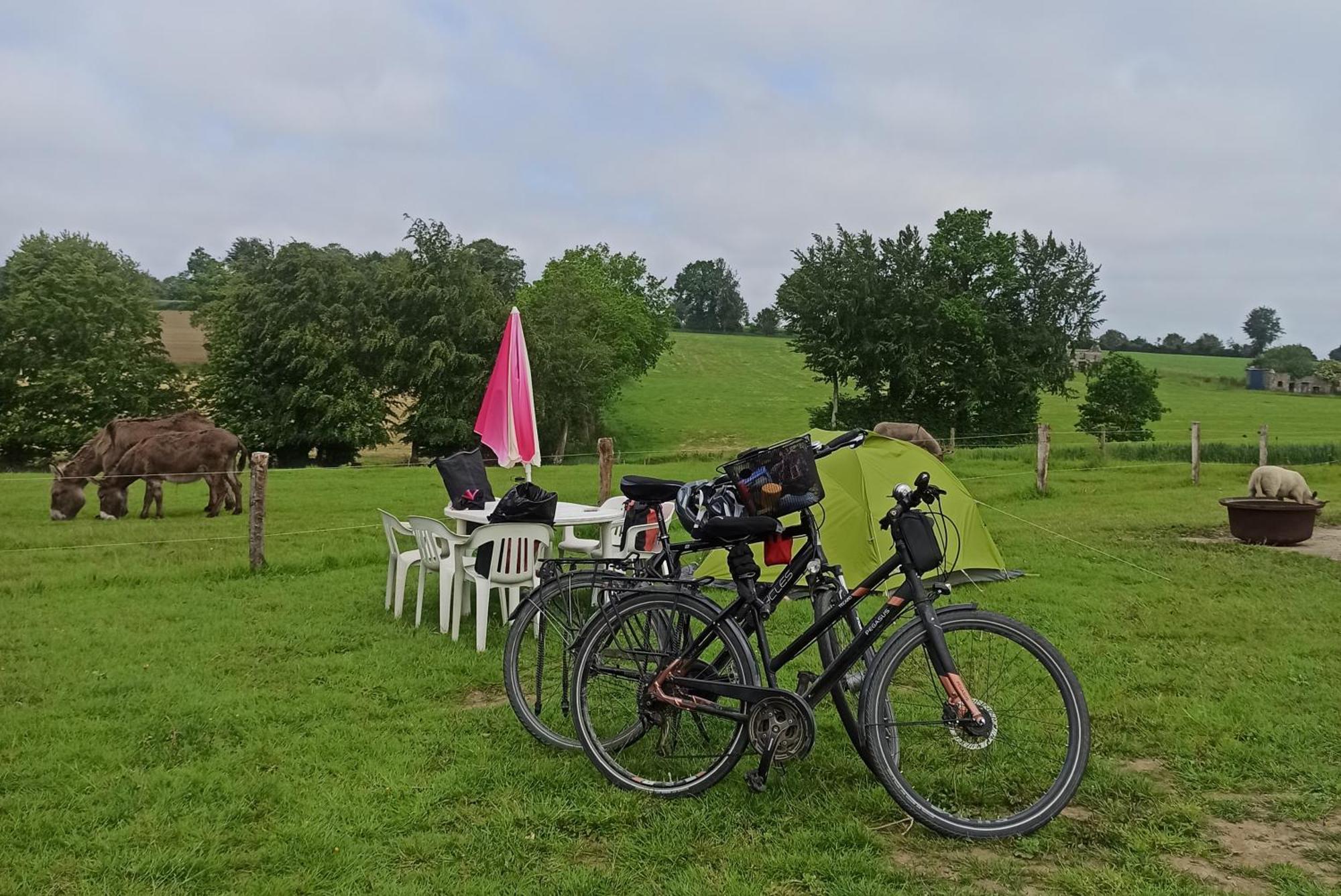 La Billardiere Camping A La Ferme Le Menil-Ciboult Esterno foto
