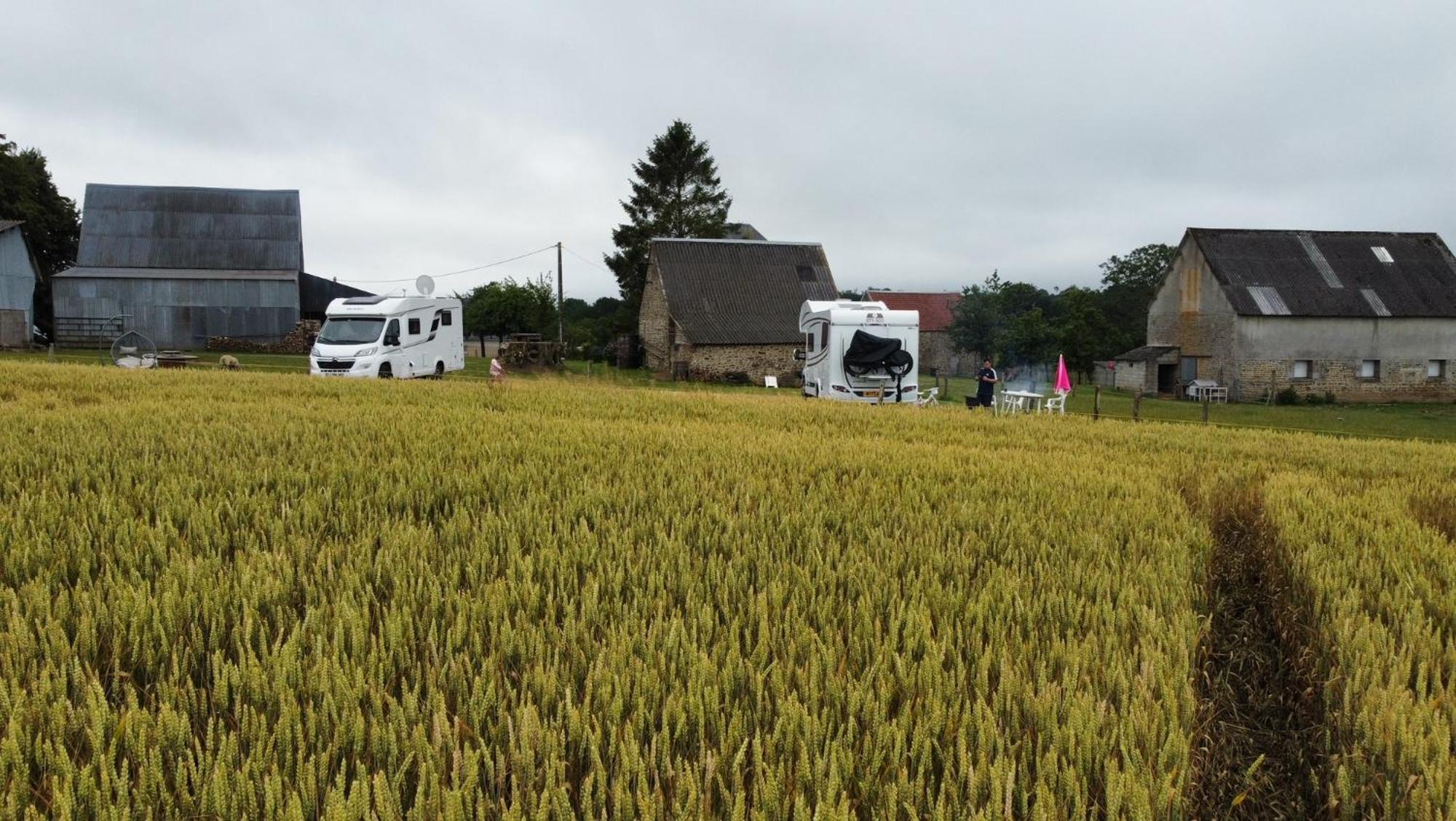 La Billardiere Camping A La Ferme Le Menil-Ciboult Esterno foto