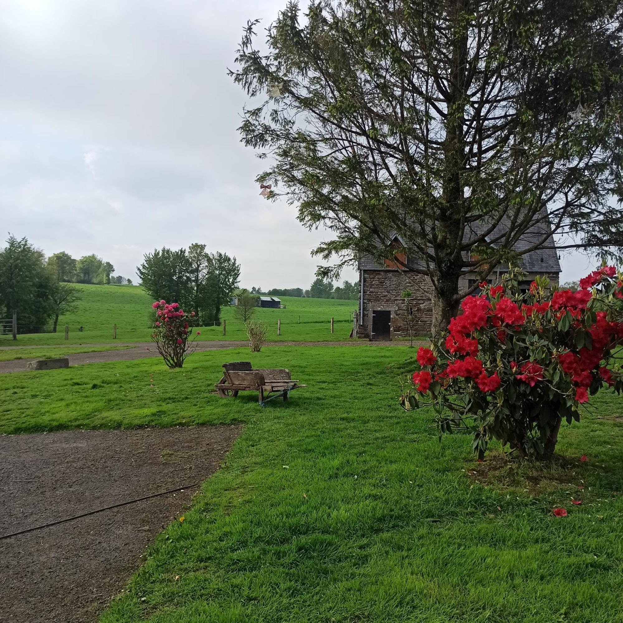 La Billardiere Camping A La Ferme Le Menil-Ciboult Esterno foto