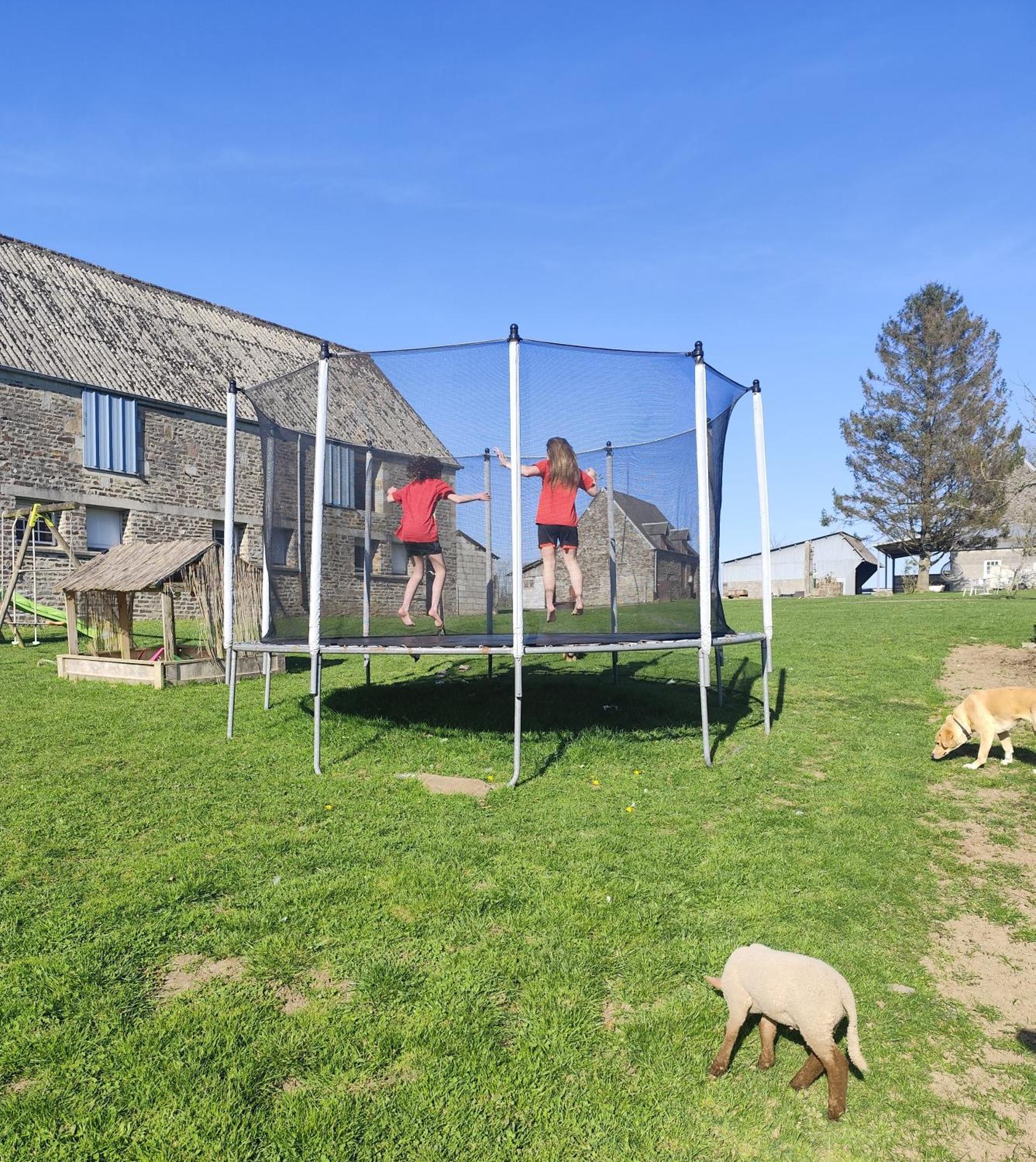 La Billardiere Camping A La Ferme Le Menil-Ciboult Esterno foto