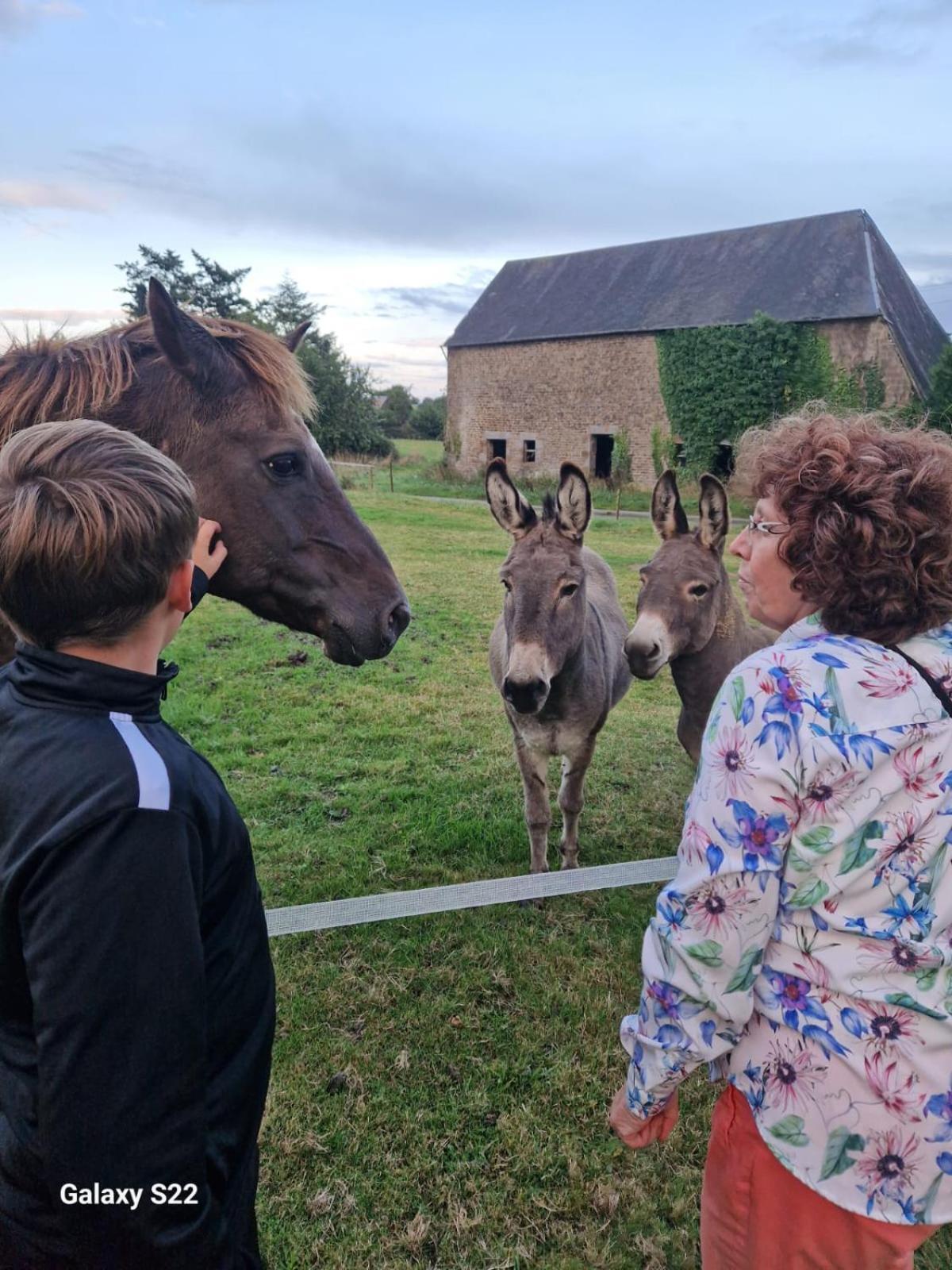 La Billardiere Camping A La Ferme Le Menil-Ciboult Esterno foto
